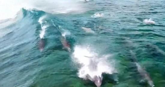 海盗寻宝记